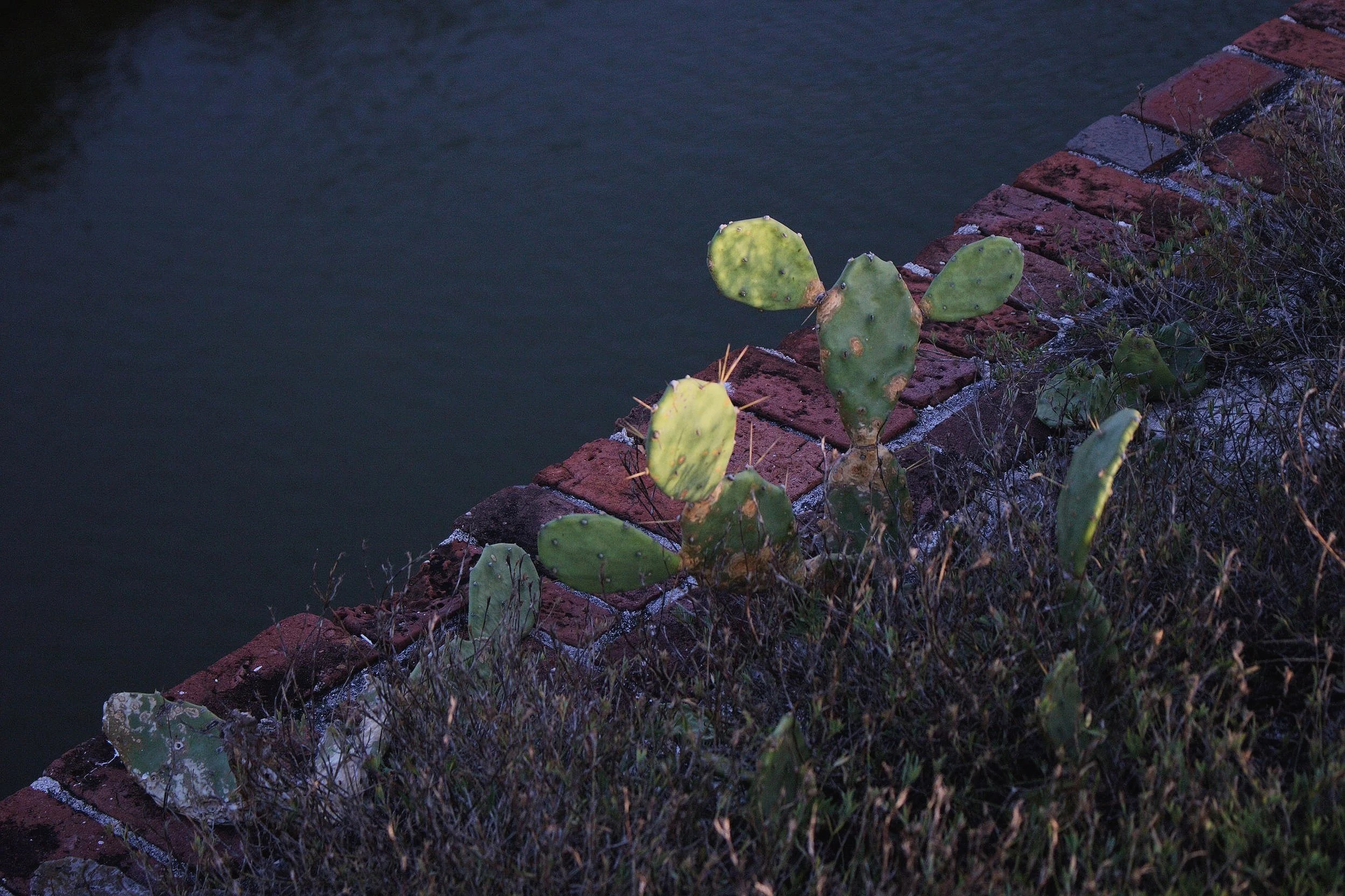 Florida - Dry Tortugas