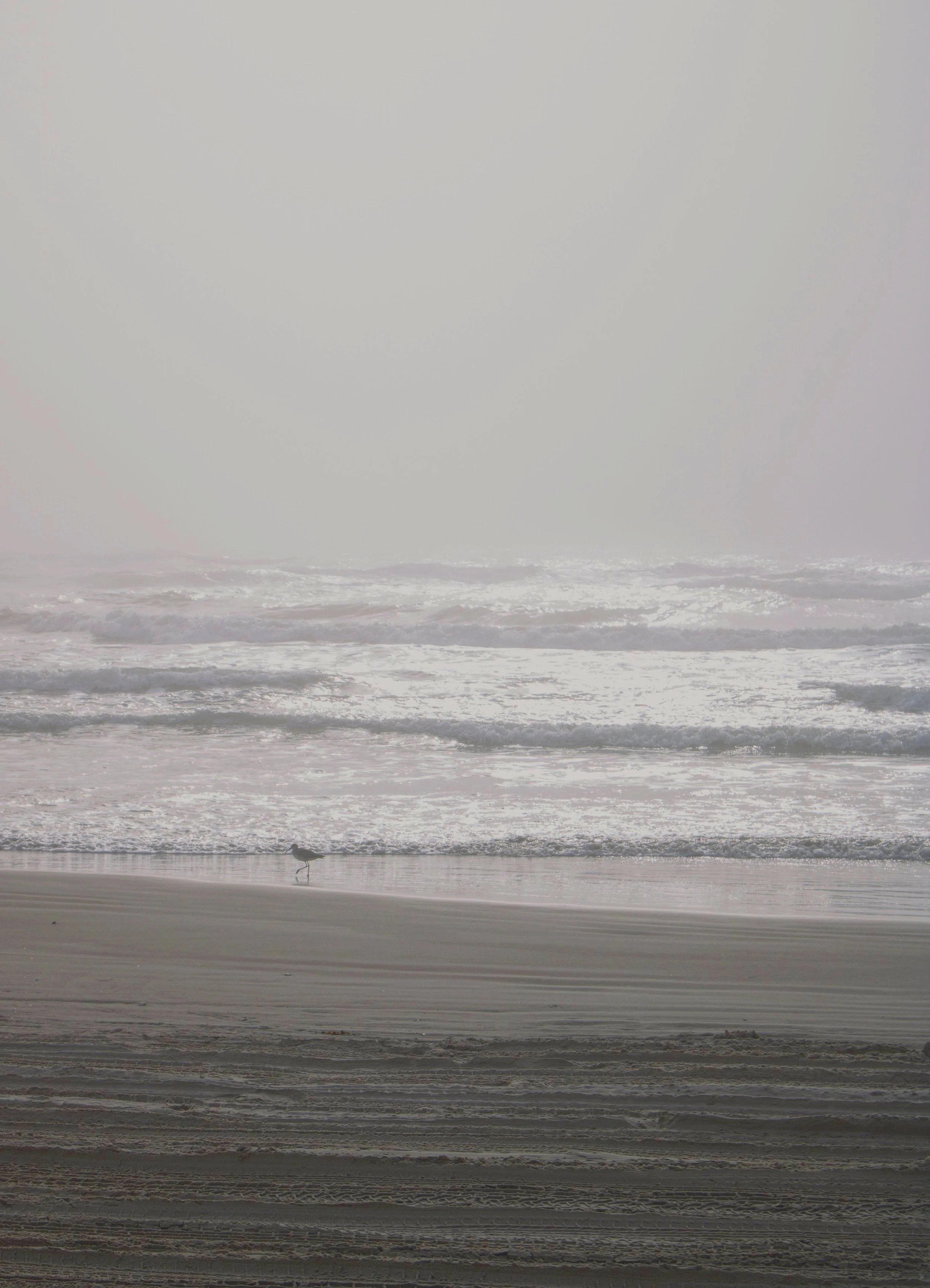 Texas - Corpus Christi