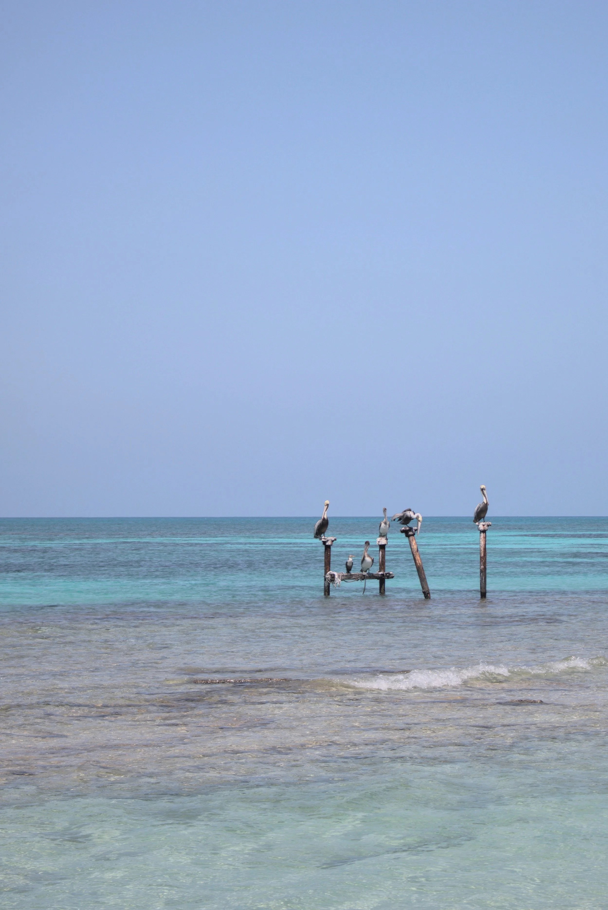 Florida - Dry Tortugas