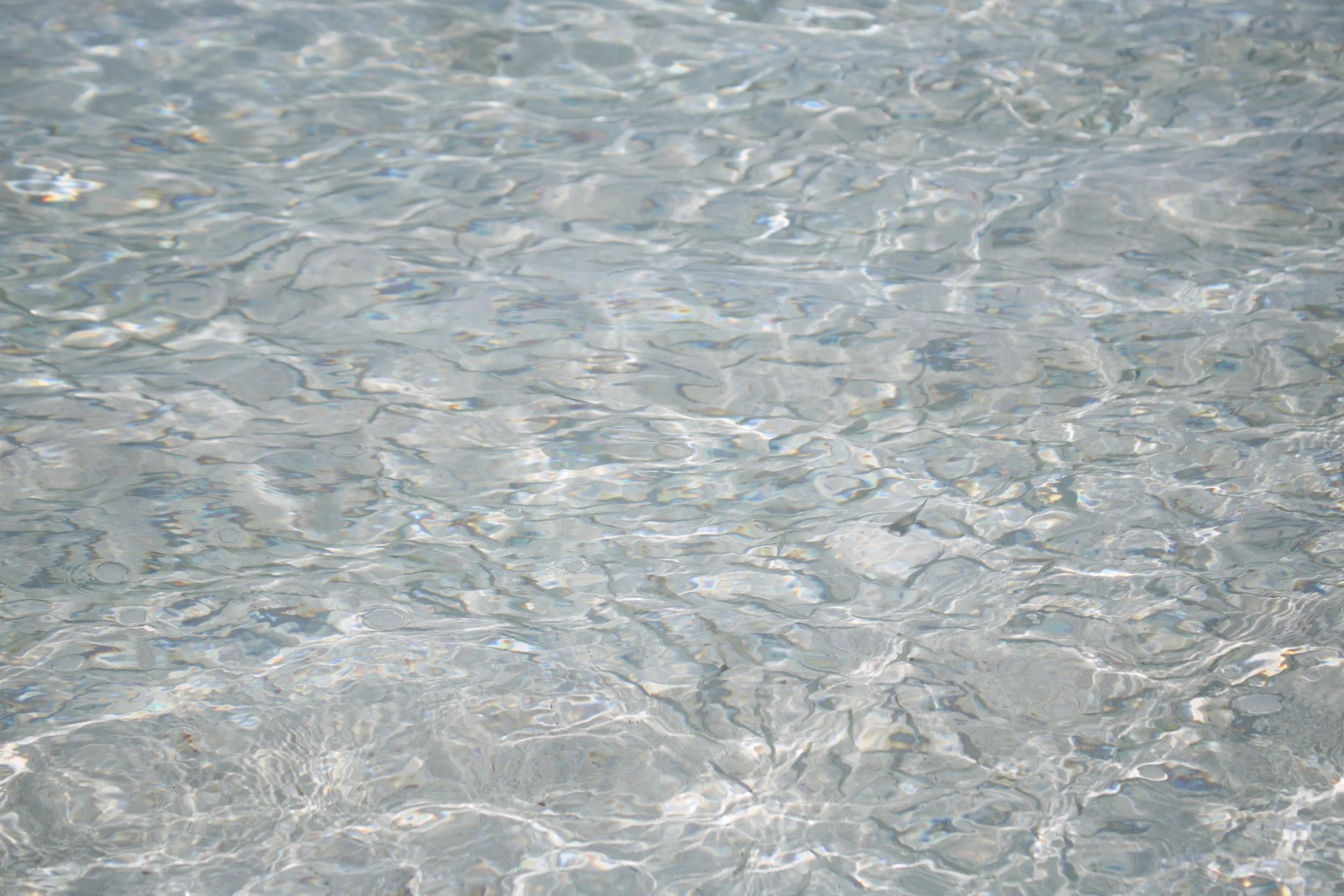 Florida - Dry Tortugas