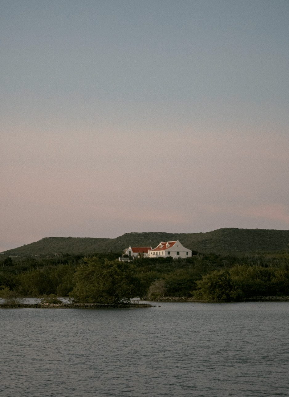 Screenshot 2025-01-30 at 1.50.20 PM.png